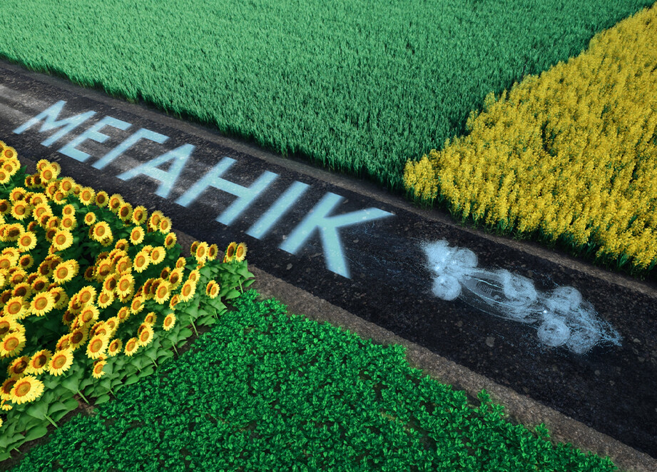 меганік фунгіцид адама