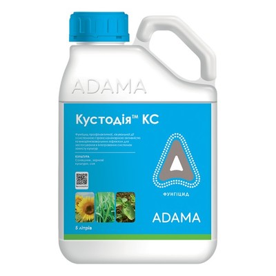 Custodia_5l_600x600