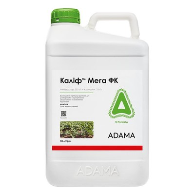 KalifMega_600x600