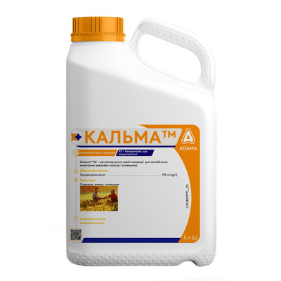 Calma_5L_600x600.jpg