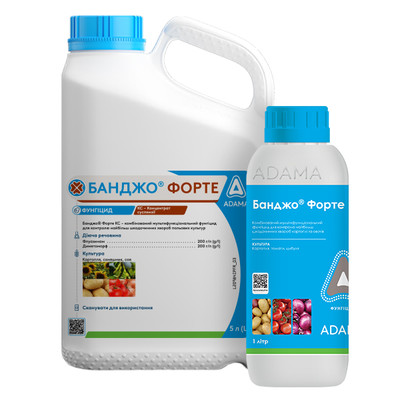 BanjoForte_600x600.jpg