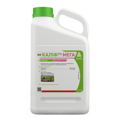 KalifMega_600x600