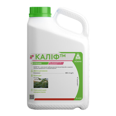 Kalif_600x600