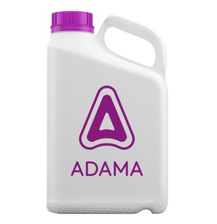 Jug-Front-Purple_600x600