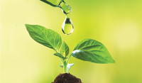 expert_grow_booklet