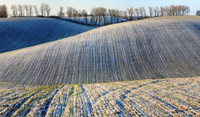 agrovisnyk_winter_001