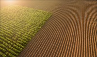 Agrovisnyk_spring_002_01
