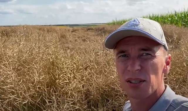 Як захистити ріпак та отримати чудові результати? #Агроподорож ADAMA.