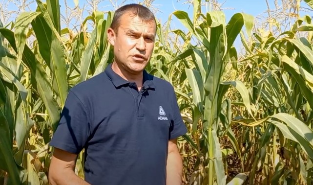 Гербіцидний захист кукурудзи на всі 100%. #Агроподорож ADAMA.