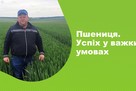 Агроподорож ADAMA. Пшениця. Успіх у важких умовах.