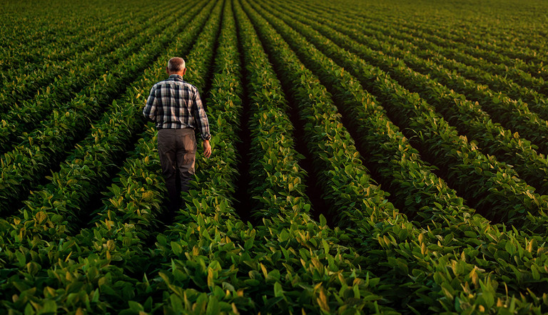 Grower in Field