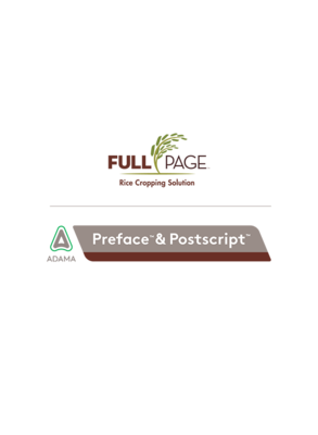 FullPage System Logo Lockup