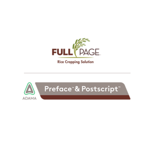 FullPage System Logo Lockup