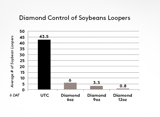 Diamond Soybean Chart 2