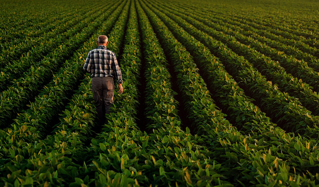 Grower in Field