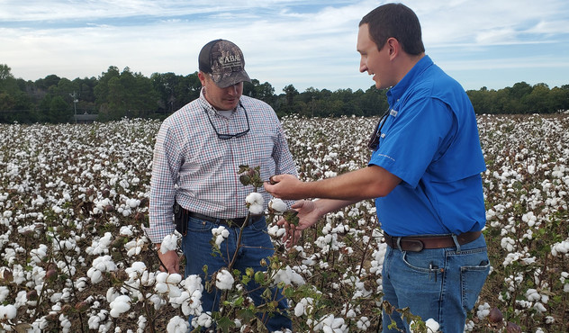Sales Rep with Grower