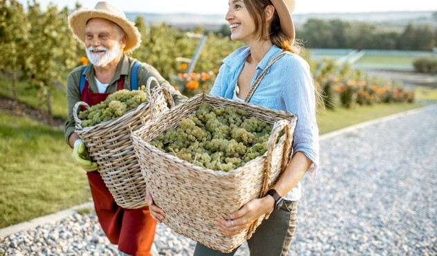 Farmers with Baskets of Grapes