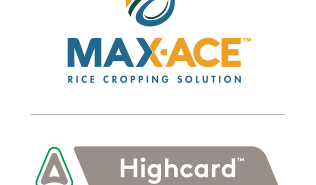 Max-Ace + Highcard Logo Lockup