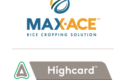 Max-Ace + Highcard Logo Lockup