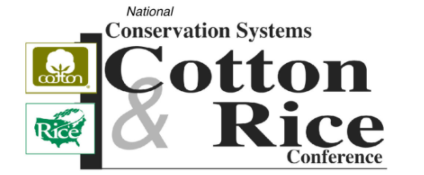 Cotton & Rice