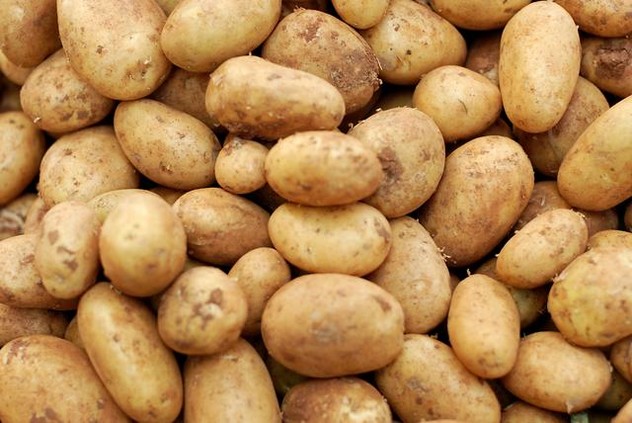 Potatoes up close