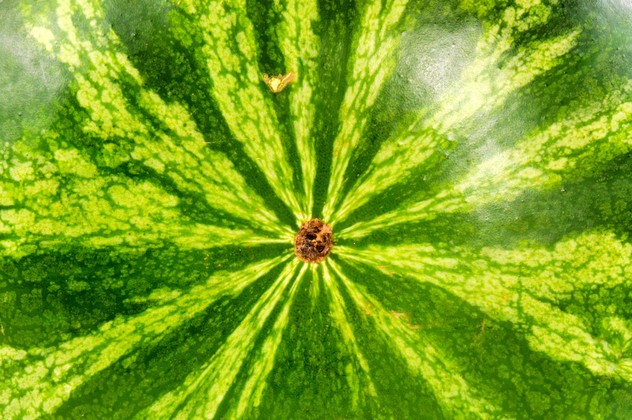 watermelon closeup