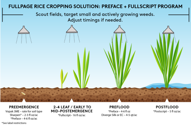 Preface+FullScript