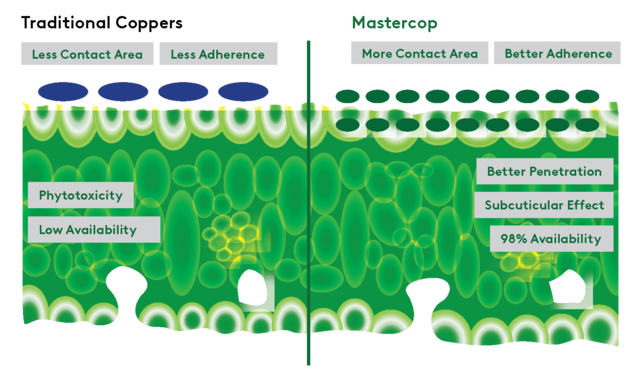 BioRetain Graphic BioRetain Graphic