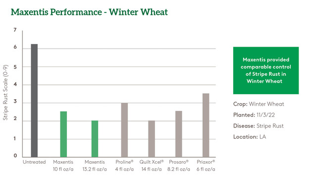 Maxentis Wheat Chart