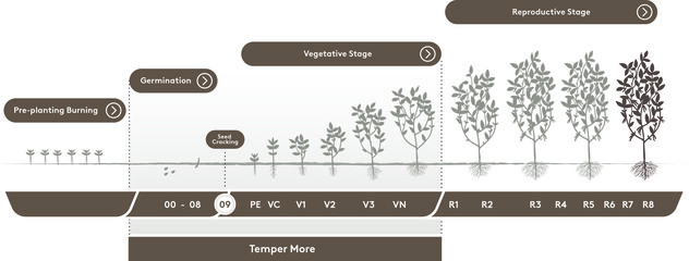 Temper More timing on Soybeans
