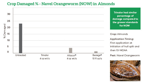 Trinalor Navel Orangeworm JPG