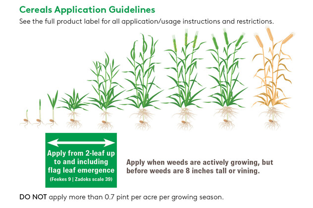 Cereals Application Zaraxon.jpg