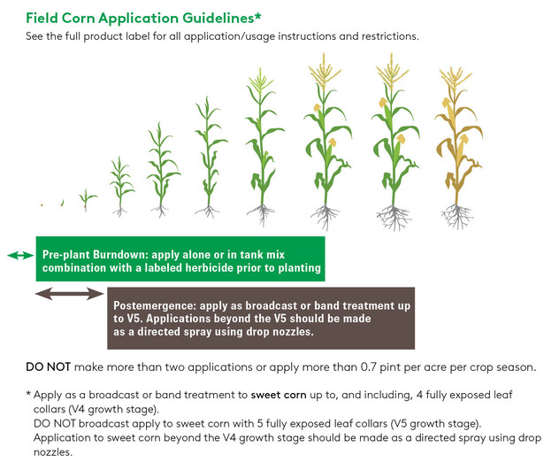 Corn Application Zaraxon.jpg