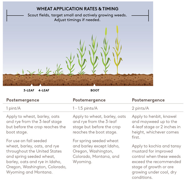PalouseM Wheat Application.jpg