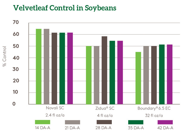 Novali in Soybeans - Velvetleaf