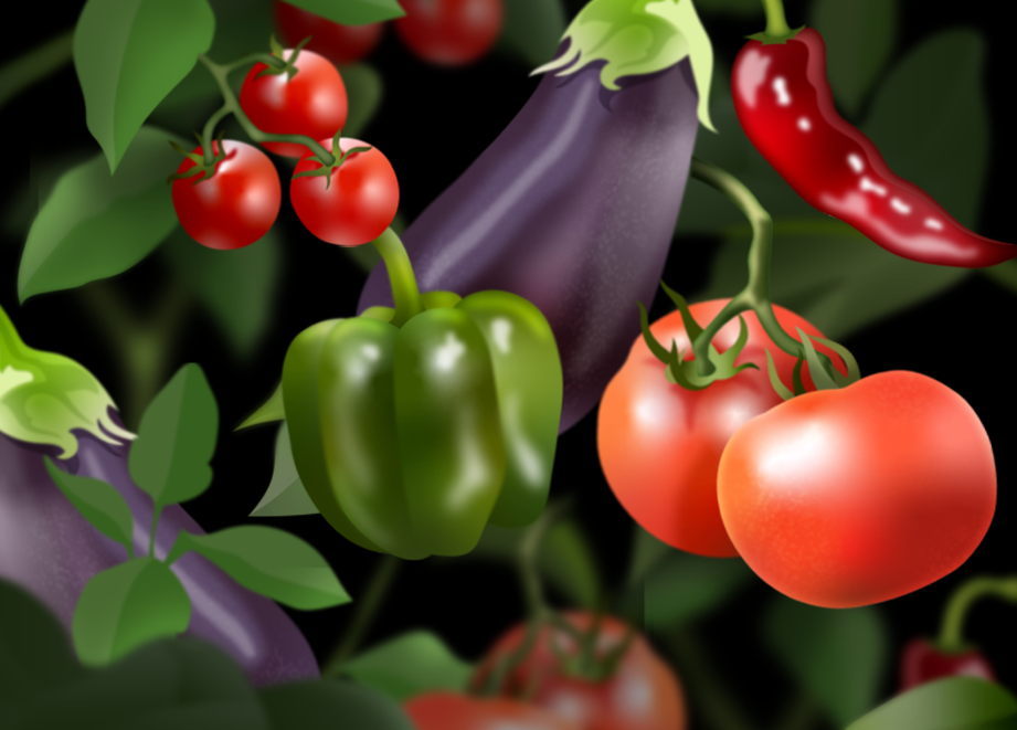 Fruiting Vegetables Hero