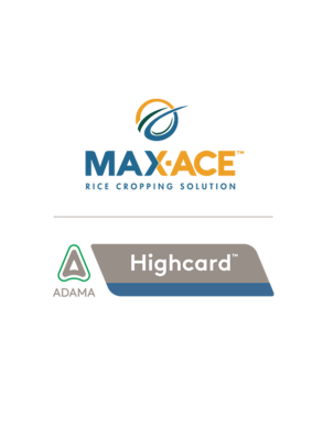 Max-Ace + Highcard Lockup