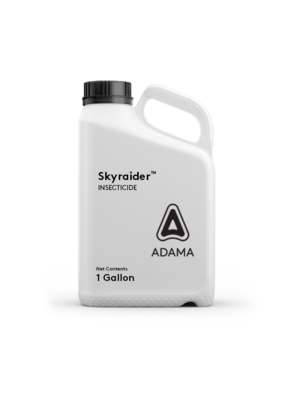 Skyraider Insecticide Jug