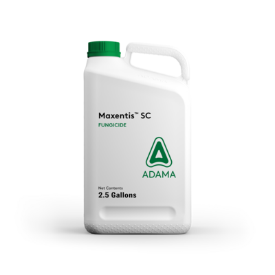 Maxentis SC Jug