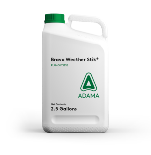 Bravo Weather Stik Fungicide Jug