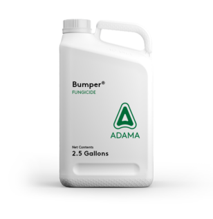 Bumper Fungicide Jug