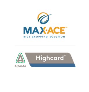 Max-Ace + Highcard Lockup