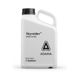 Skyraider Insecticide Jug