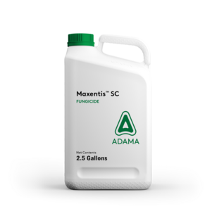 Maxentis SC Jug