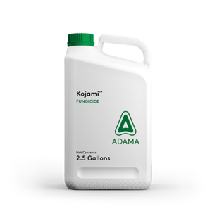 Kojami