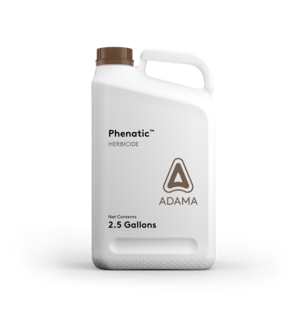 Phenatic Web 2.5gals