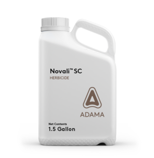 Novali Jug
