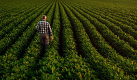 Grower in Field