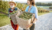 Farmers with Baskets of Grapes