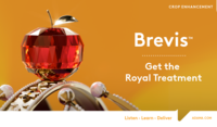 Brevis launch